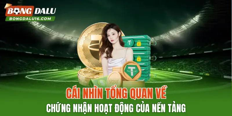 Cái nhìn tổng quan về chứng nhận hoạt động của nền tảng