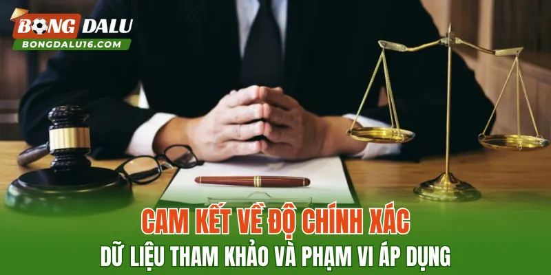 Cam kết về độ chính xác dữ liệu tham khảo và phạm vi áp dụng