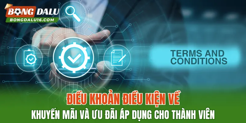 Điều khoản điều kiện về khuyến mãi và ưu đãi áp dụng cho thành viên