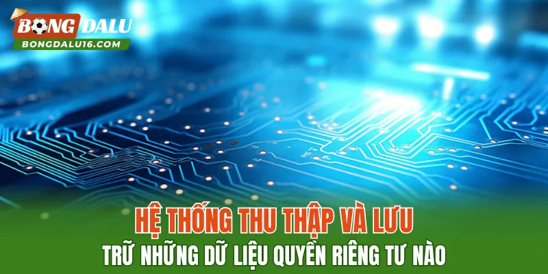 Hệ thống thu thập và lưu trữ những dữ liệu quyền riêng tư nào?