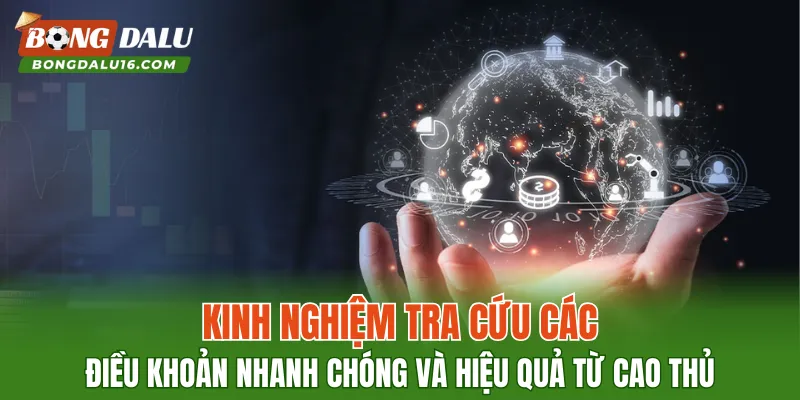 Kinh nghiệm tra cứu các điều khoản nhanh chóng và hiệu quả từ cao thủ