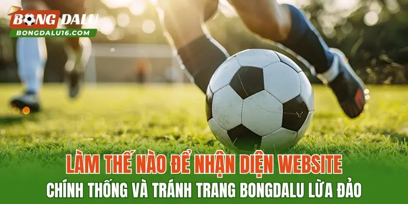 Làm thế nào để nhận diện website chính thống và tránh trang BONGDALU lừa đảo