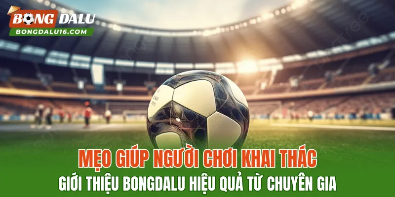 Mẹo giúp người chơi khai thác giới thiệu BONGDALU hiệu quả từ chuyên gia