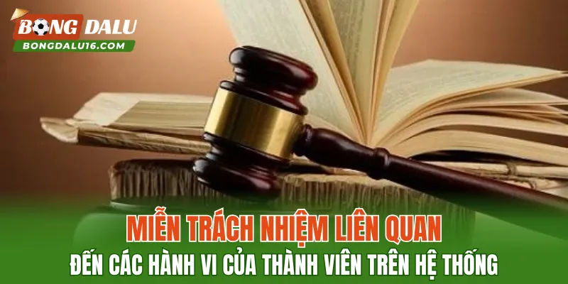 Miễn trách nhiệm liên quan đến các hành vi của thành viên trên hệ thống