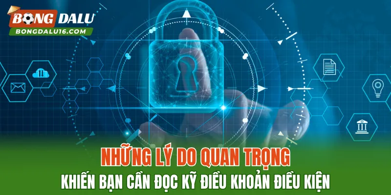 Những lý do quan trọng khiến bạn cần đọc kỹ điều khoản điều kiện