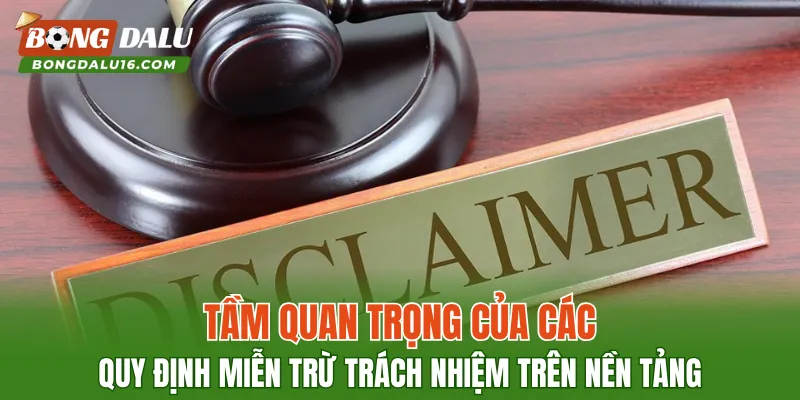Tầm quan trọng của các quy định miễn trừ trách nhiệm trên nền tảng