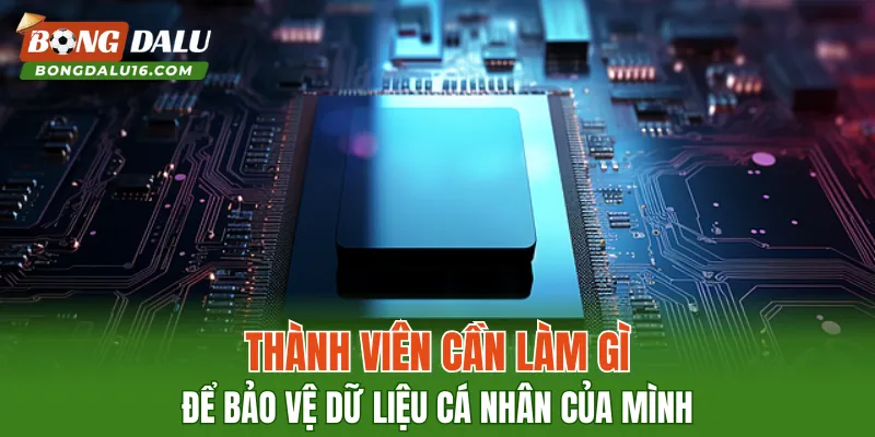 Thành viên cần làm gì để bảo vệ dữ liệu cá nhân của mình