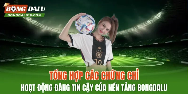 Tổng hợp các chứng chỉ hoạt động đáng tin cậy của nền tảng BONGDALU