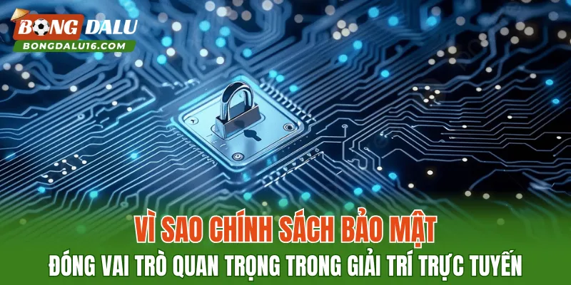 Vì sao chính sách bảo mật đóng vai trò quan trọng trong giải trí trực tuyến