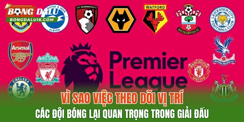 Vì sao việc theo dõi vị trí các đội bóng lại quan trọng trong giải đấu