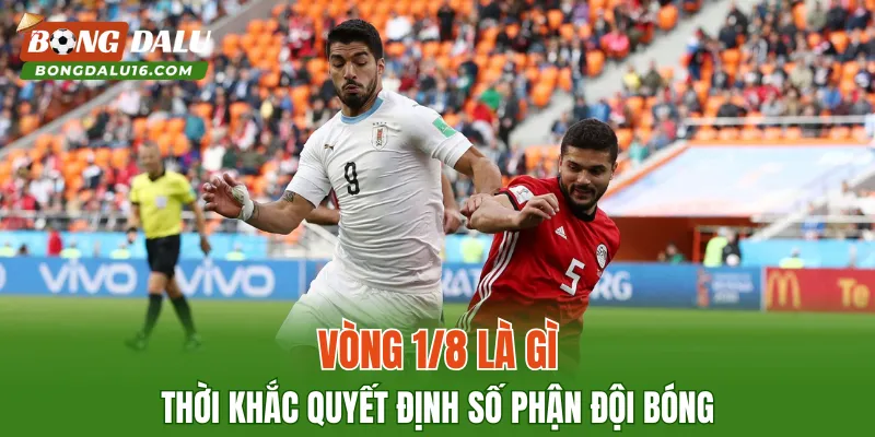 Vòng 1/8 Là Gì