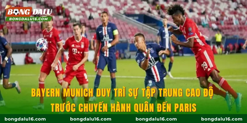 Bayern Munich duy trì sự tập trung cao độ trước chuyến hành quân đến Paris