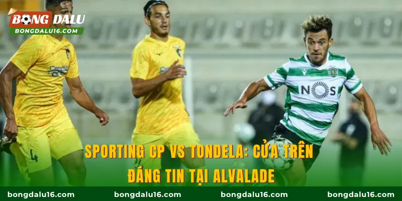 Sporting CP vs Tondela: Cửa trên đáng tin tại Alvalade