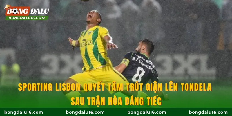 Sporting Lisbon quyết tâm trút giận lên Tondela sau trận hòa đáng tiếc