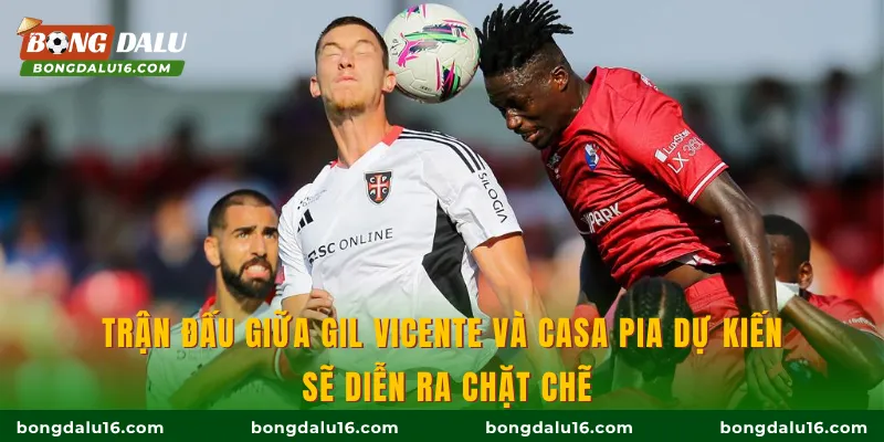 Trận đấu giữa Gil Vicente và Casa Pia dự kiến sẽ diễn ra chặt chẽ