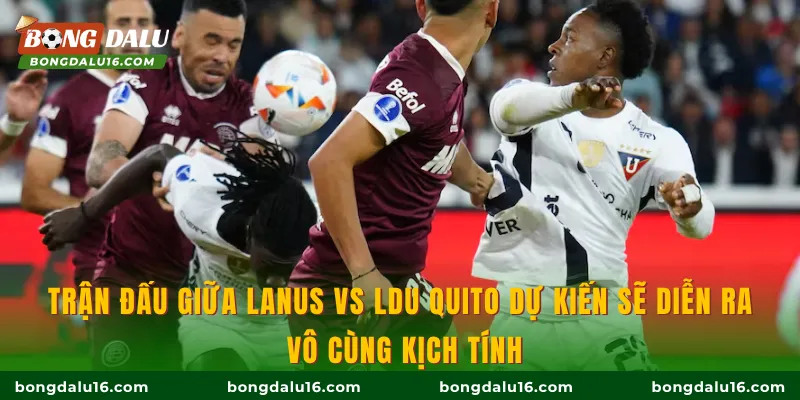 Trận đấu giữa Lanus vs LDU Quito dự kiến sẽ diễn ra vô cùng kịch tính