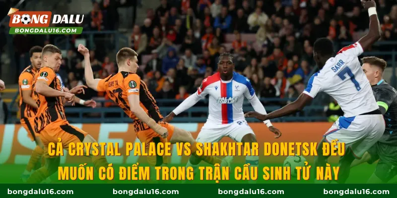 Cả Crystal Palace vs Shakhtar Donetsk đều muốn có điểm trong trận cầu sinh tử này