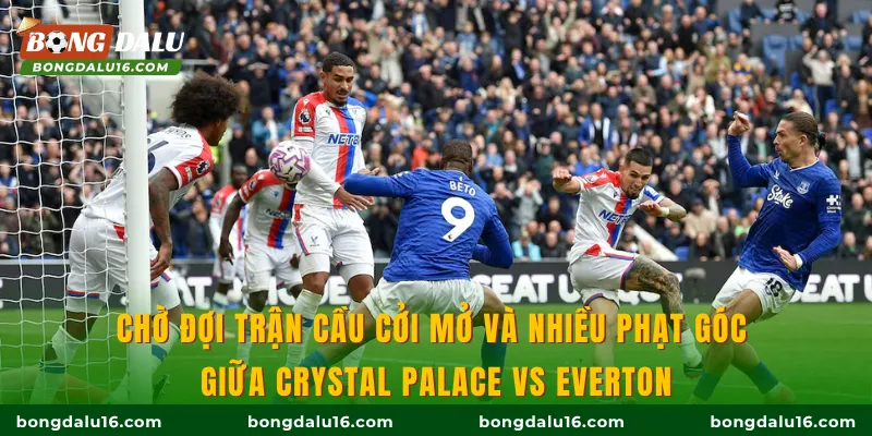 Chờ đợi trận cầu cởi mở và nhiều phạt góc giữa Crystal Palace Vs Everton
