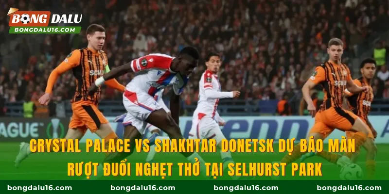 Crystal Palace vs Shakhtar Donetsk dự báo màn rượt đuổi nghẹt thở tại Selhurst Park