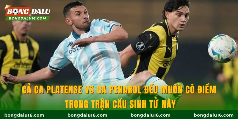 Cả CA Platense vs CA Penarol đều muốn có điểm trong trận cầu sinh tử này