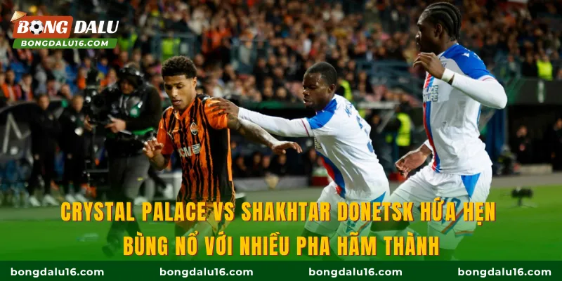 Crystal Palace vs Shakhtar Donetsk hứa hẹn bùng nổ với nhiều pha hãm thành