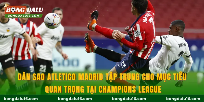 Dàn sao Atletico Madrid tập trung cho mục tiêu quan trọng tại Champions League