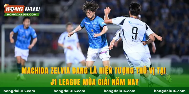 Machida Zelvia đang là hiện tượng thú vị tại J1 League mùa giải năm nay
