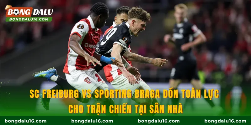 SC Freiburg Vs Sporting Braga dồn toàn lực cho trận chiến tại sân nhà