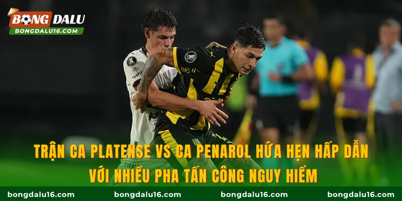 Trận CA Platense vs CA Penarol hứa hẹn hấp dẫn với nhiều pha tấn công nguy hiểm