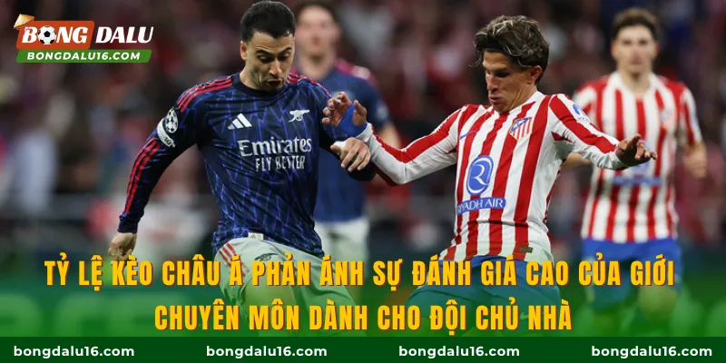 Tỷ lệ kèo Châu Á phản ánh sự đánh giá cao của giới chuyên môn dành cho đội chủ nhà