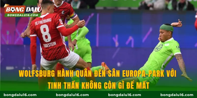 Wolfsburg hành quân đến sân Europa-Park với tinh thần không còn gì để mất
