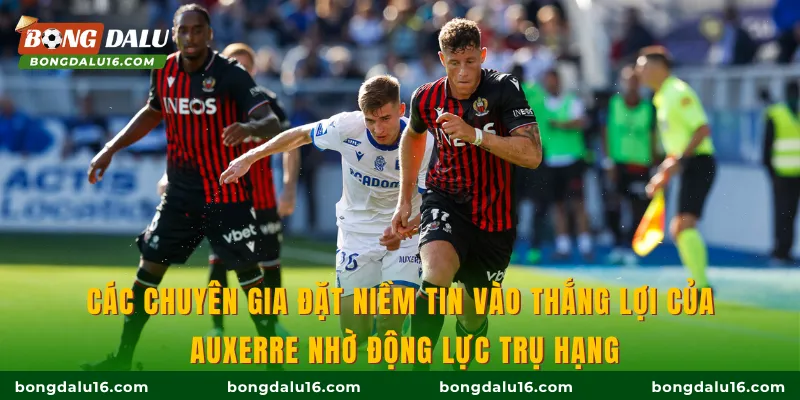 Các chuyên gia đặt niềm tin vào thắng lợi của Auxerre nhờ động lực trụ hạng