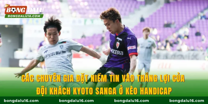 Các chuyên gia đặt niềm tin vào thắng lợi của đội khách Kyoto Sanga ở kèo handicap