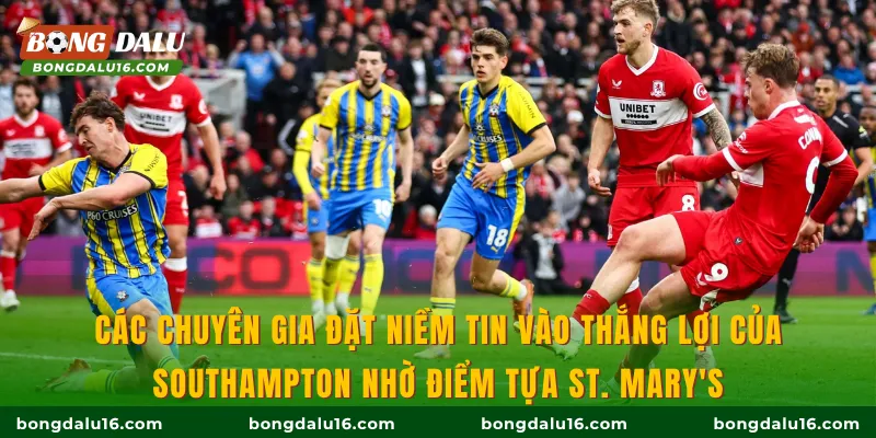 Các chuyên gia đặt niềm tin vào thắng lợi của Southampton nhờ điểm tựa St. Mary's