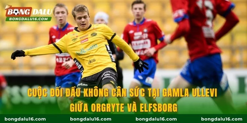 Cuộc đối đầu không cân sức tại Gamla Ullevi giữa Orgryte và Elfsborg.
