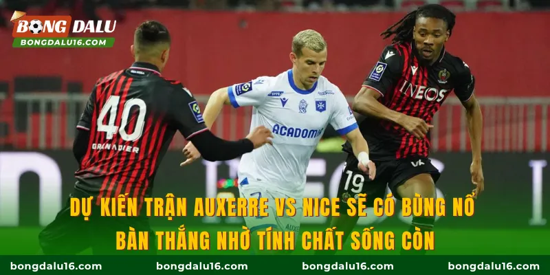 Dự kiến trận Auxerre Vs Nice sẽ có bùng nổ bàn thắng nhờ tính chất sống còn