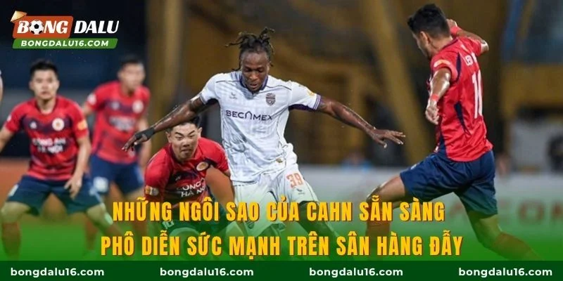Những ngôi sao của CAHN sẵn sàng phô diễn sức mạnh trên sân Hàng Đẫy