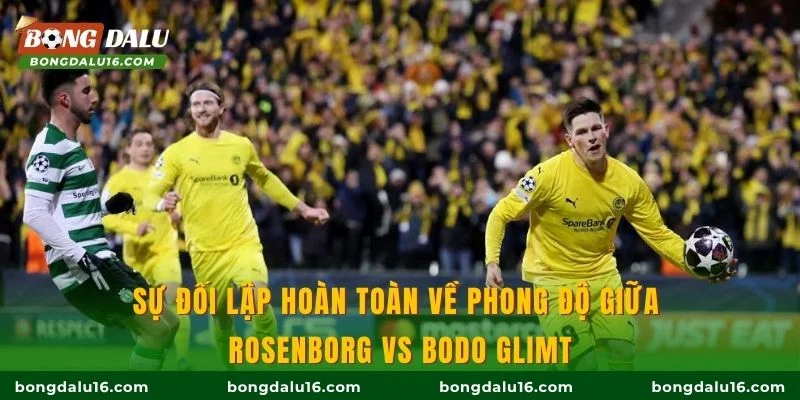 Sự đối lập hoàn toàn về phong độ giữa Rosenborg vs Bodo Glimt