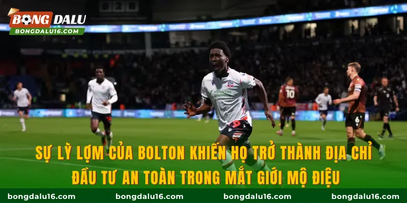 Sự lỳ lợm của Bolton khiến họ trở thành địa chỉ đầu tư an toàn trong mắt giới mộ điệu