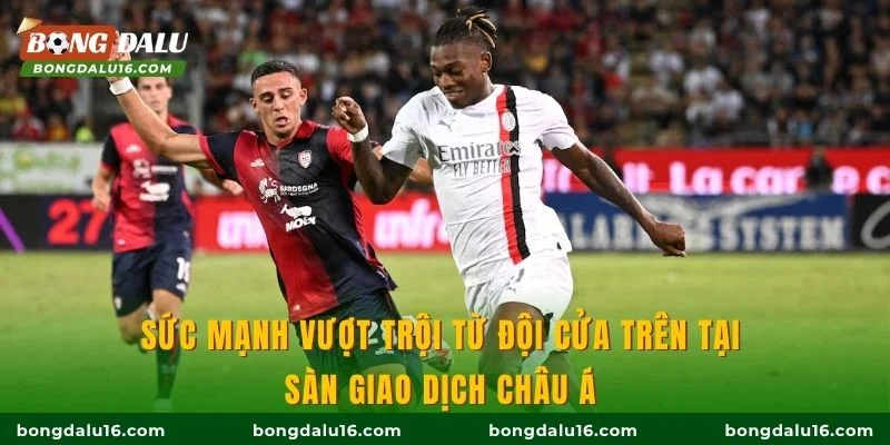 Sức mạnh vượt trội từ đội cửa trên tại sàn giao dịch châu Á 