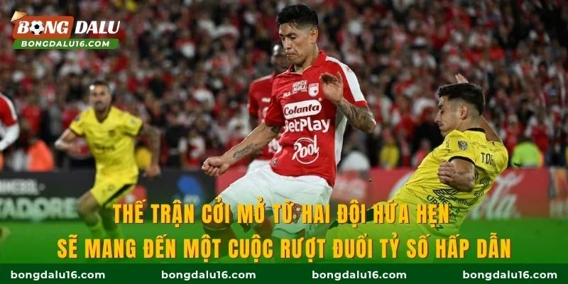 Thế trận cởi mở từ hai đội hứa hẹn sẽ mang đến một cuộc rượt đuổi tỷ số hấp dẫn