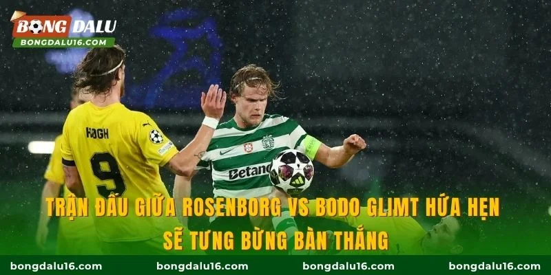 Trận đấu giữa Rosenborg vs Bodo Glimt hứa hẹn sẽ tưng bừng bàn thắng