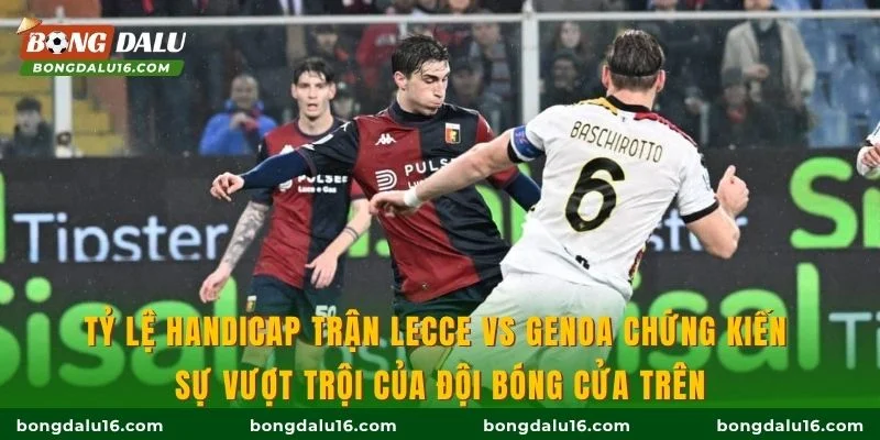 Tỷ lệ handicap trận Lecce vs Genoa chứng kiến sự vượt trội của đội bóng cửa trên