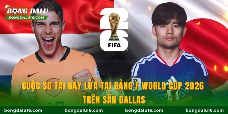 Cuộc so tài nảy lửa tại bảng F World Cup 2026 trên sân Dallas