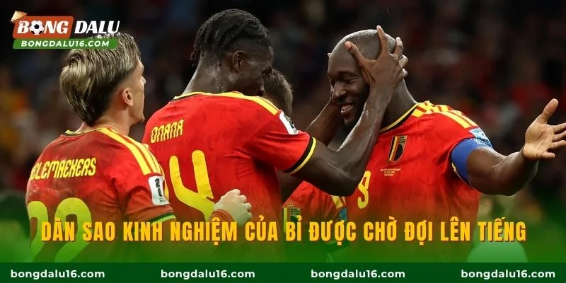 Dàn sao kinh nghiệm của Bỉ được chờ đợi lên tiếng