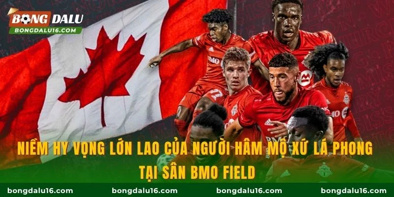 Niềm hy vọng lớn lao của người hâm mộ xứ Lá phong tại sân BMO Field